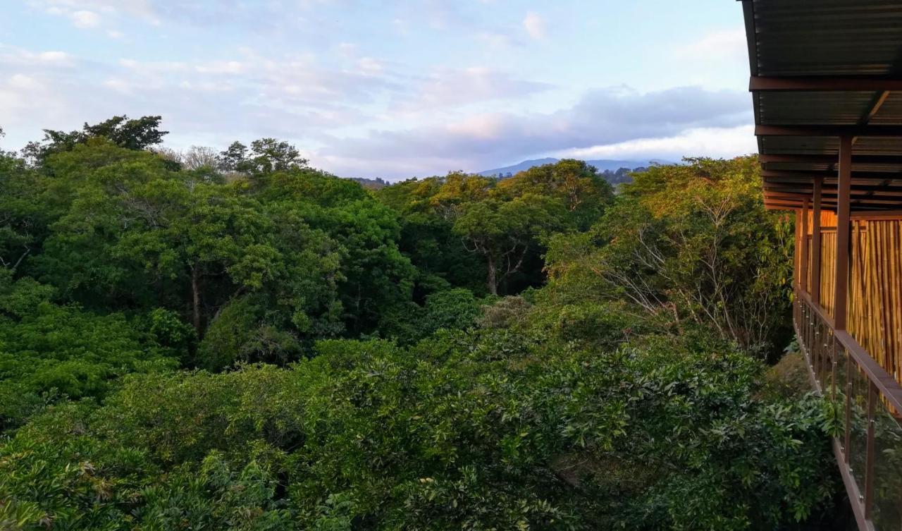 Hotel Pibi Boreal Alajuela Bagian luar foto