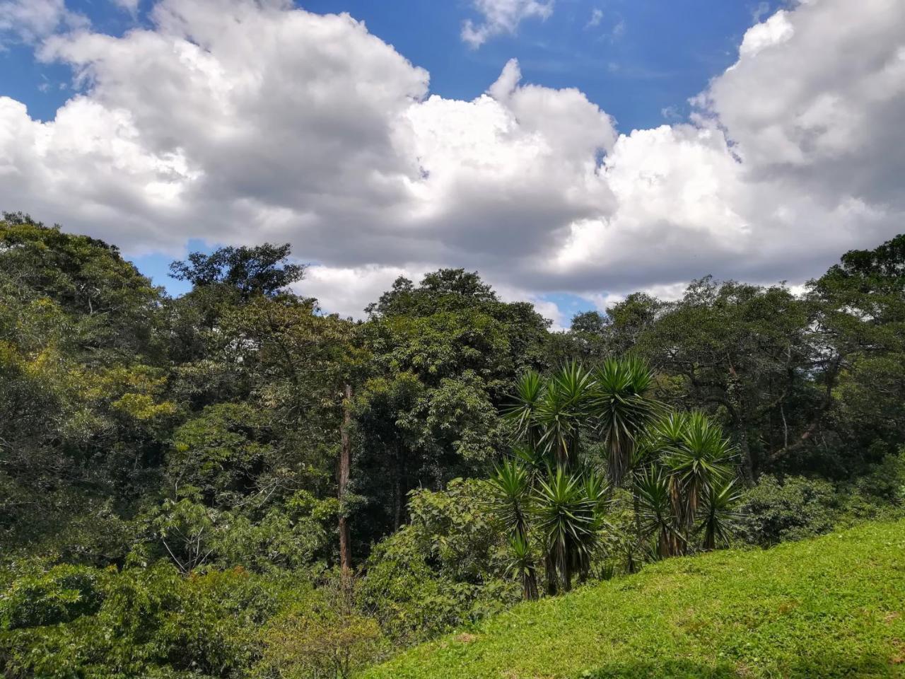 Hotel Pibi Boreal Alajuela Bagian luar foto